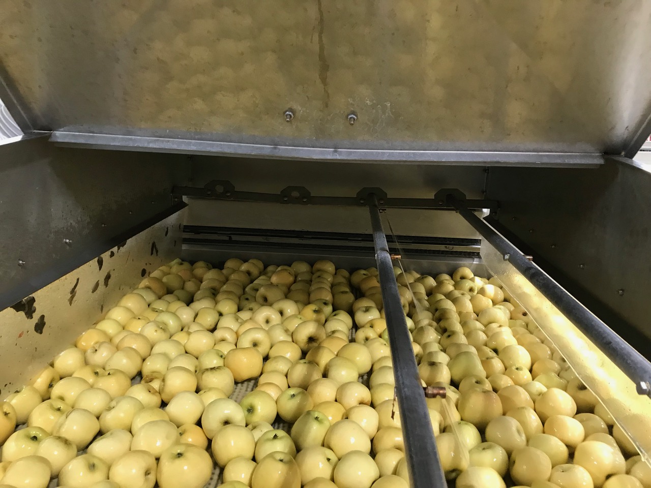 Fresh green cleaning