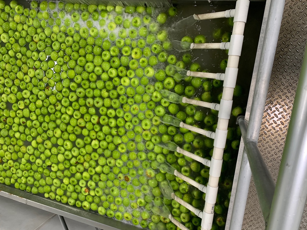 Eco cleaning supplies